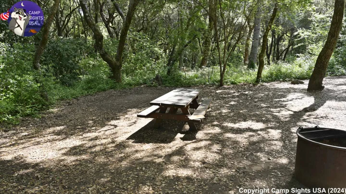 Henry Cowell State Park #19