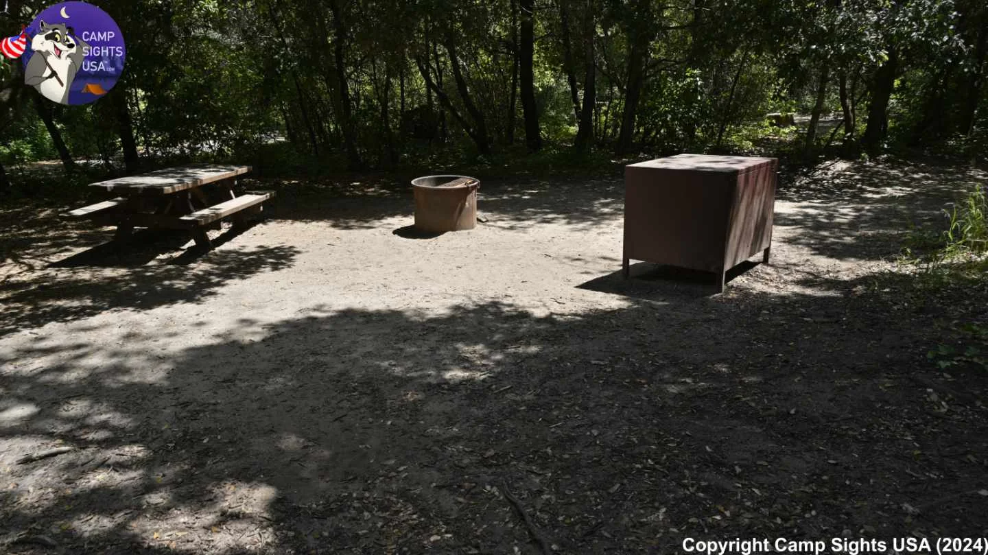 Henry Cowell State Park #20