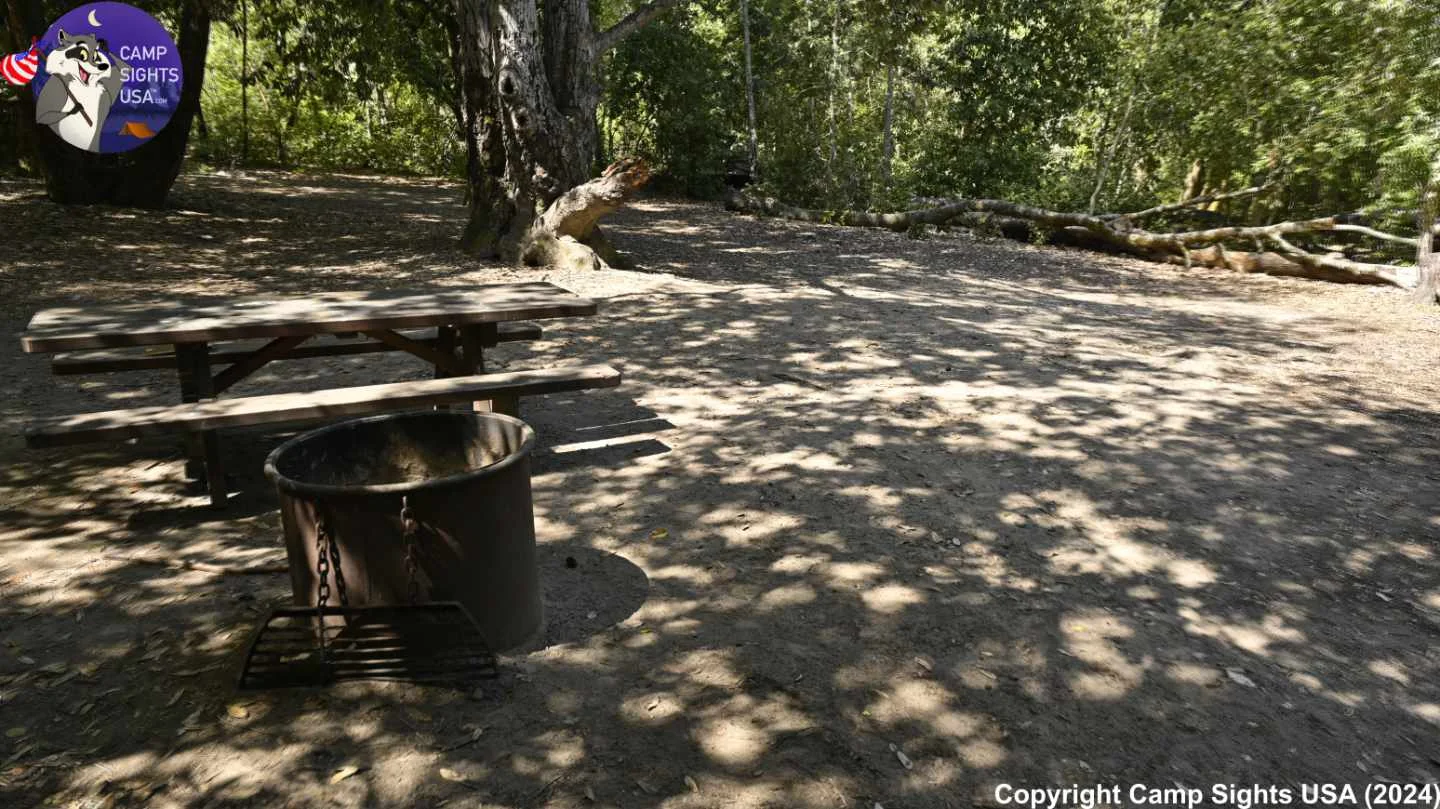 Henry Cowell State Park #21