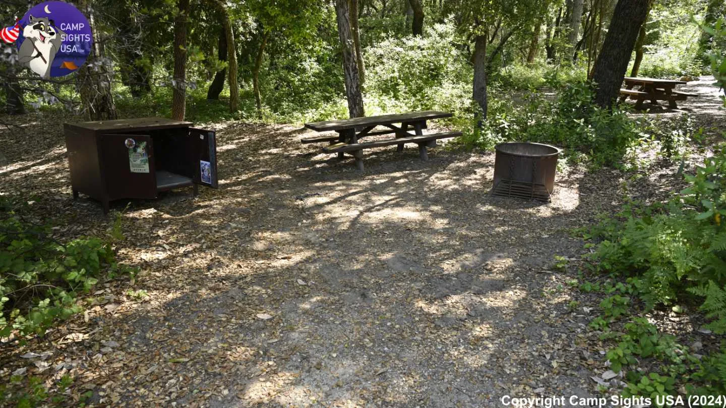 Henry Cowell State Park #22