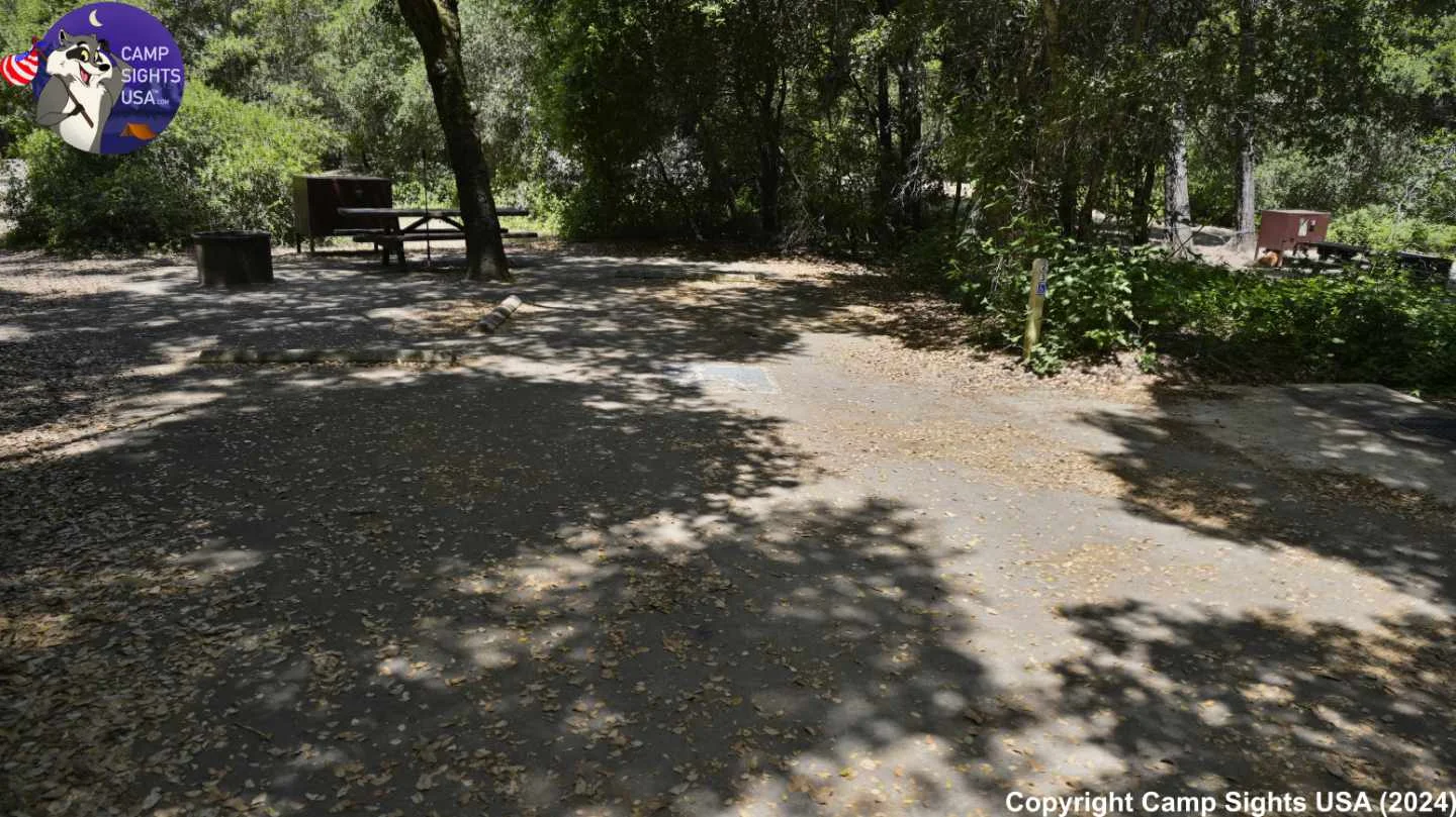Henry Cowell State Park #23