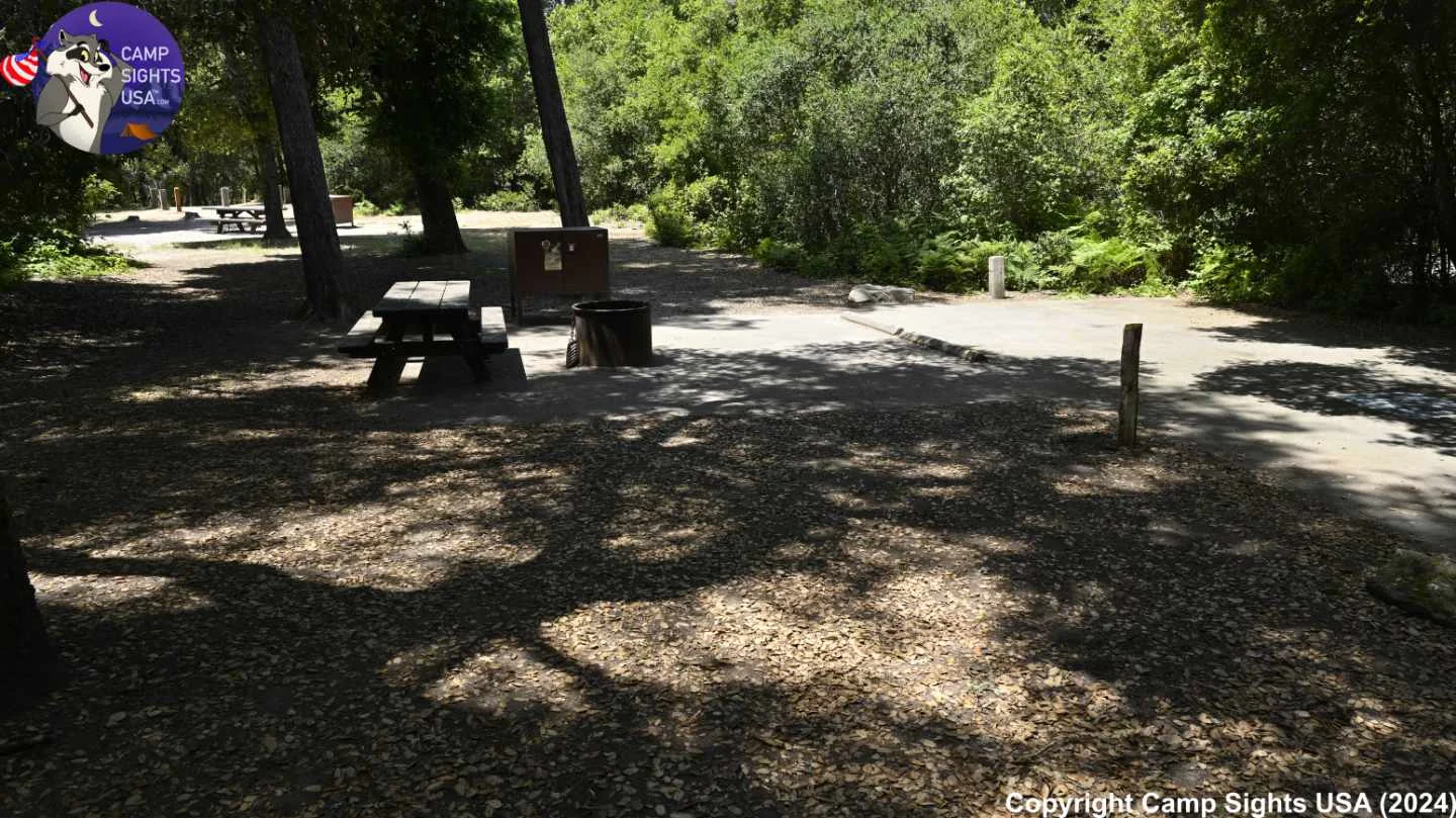 Henry Cowell State Park #24