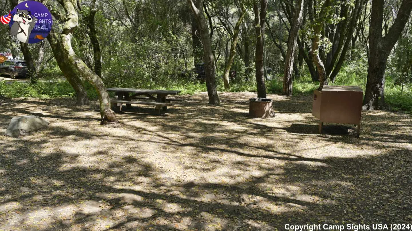 Henry Cowell State Park #25