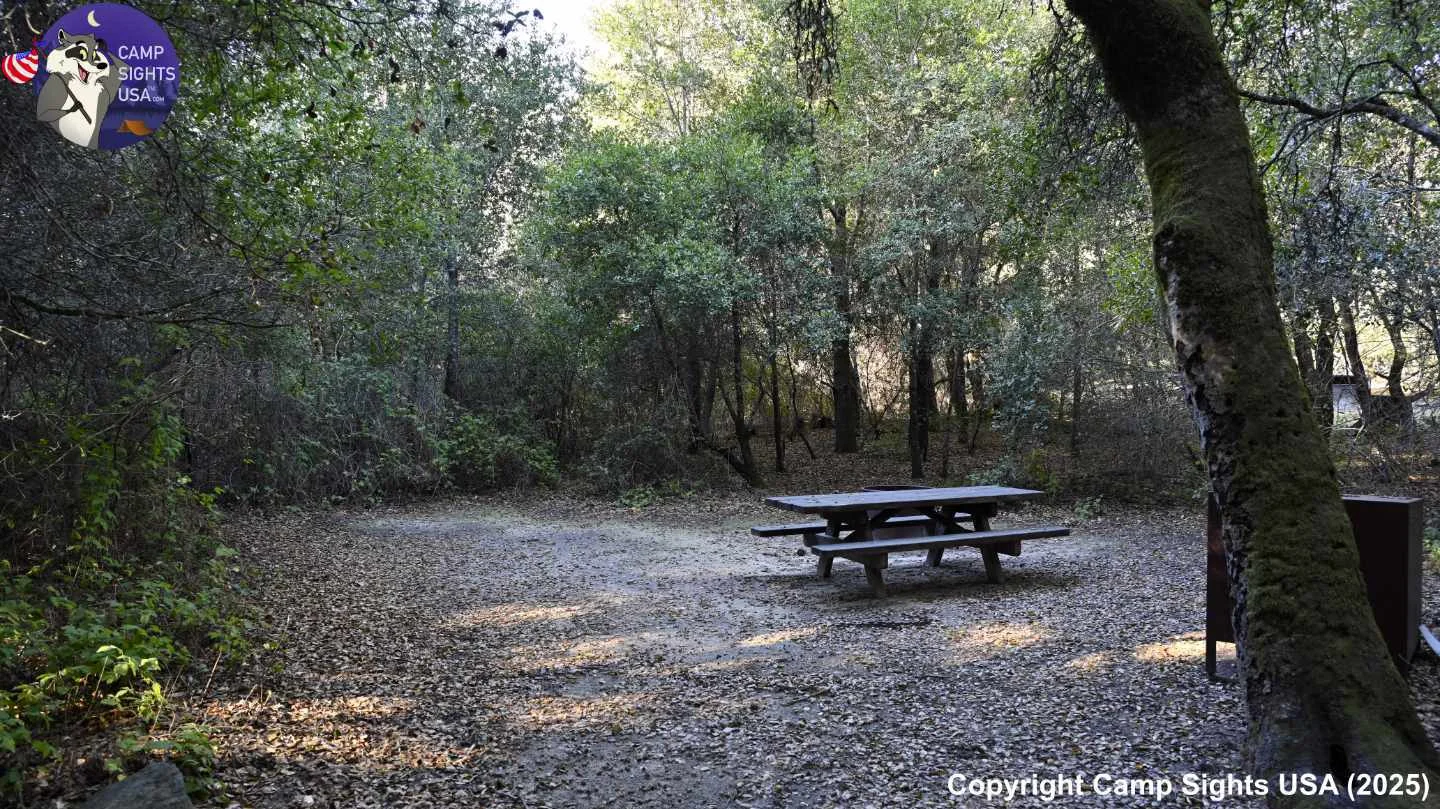 Henry Cowell State Park #26