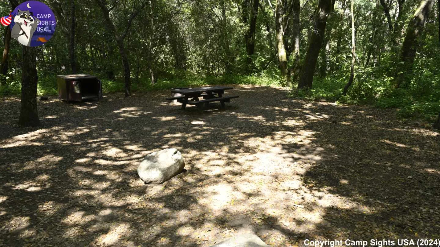 Henry Cowell State Park #27