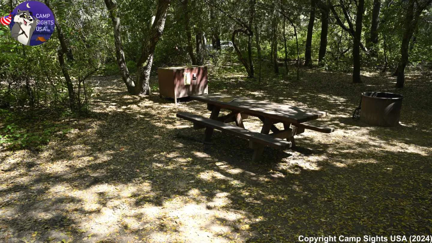 Henry Cowell State Park #28