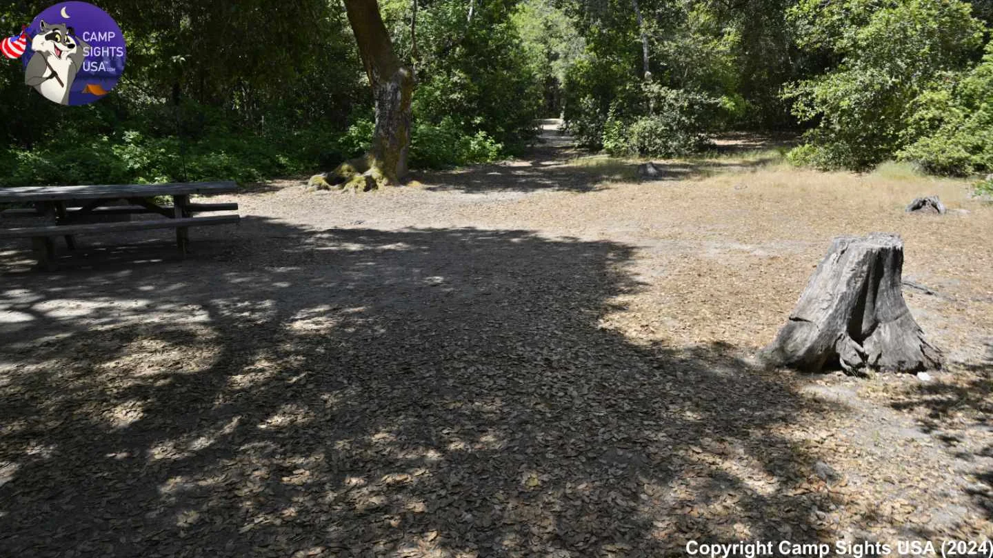 Henry Cowell State Park #29