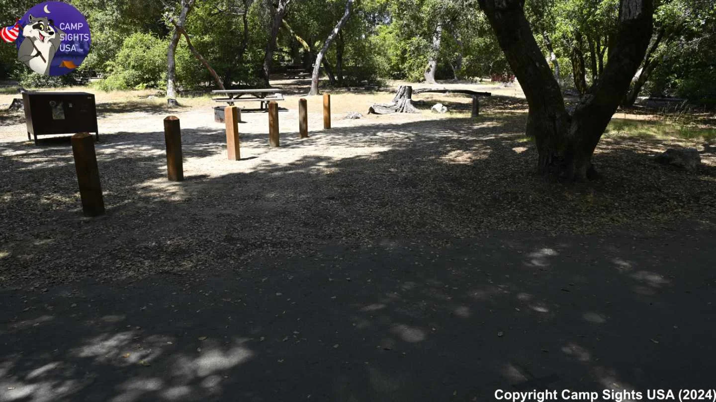 Henry Cowell State Park #30