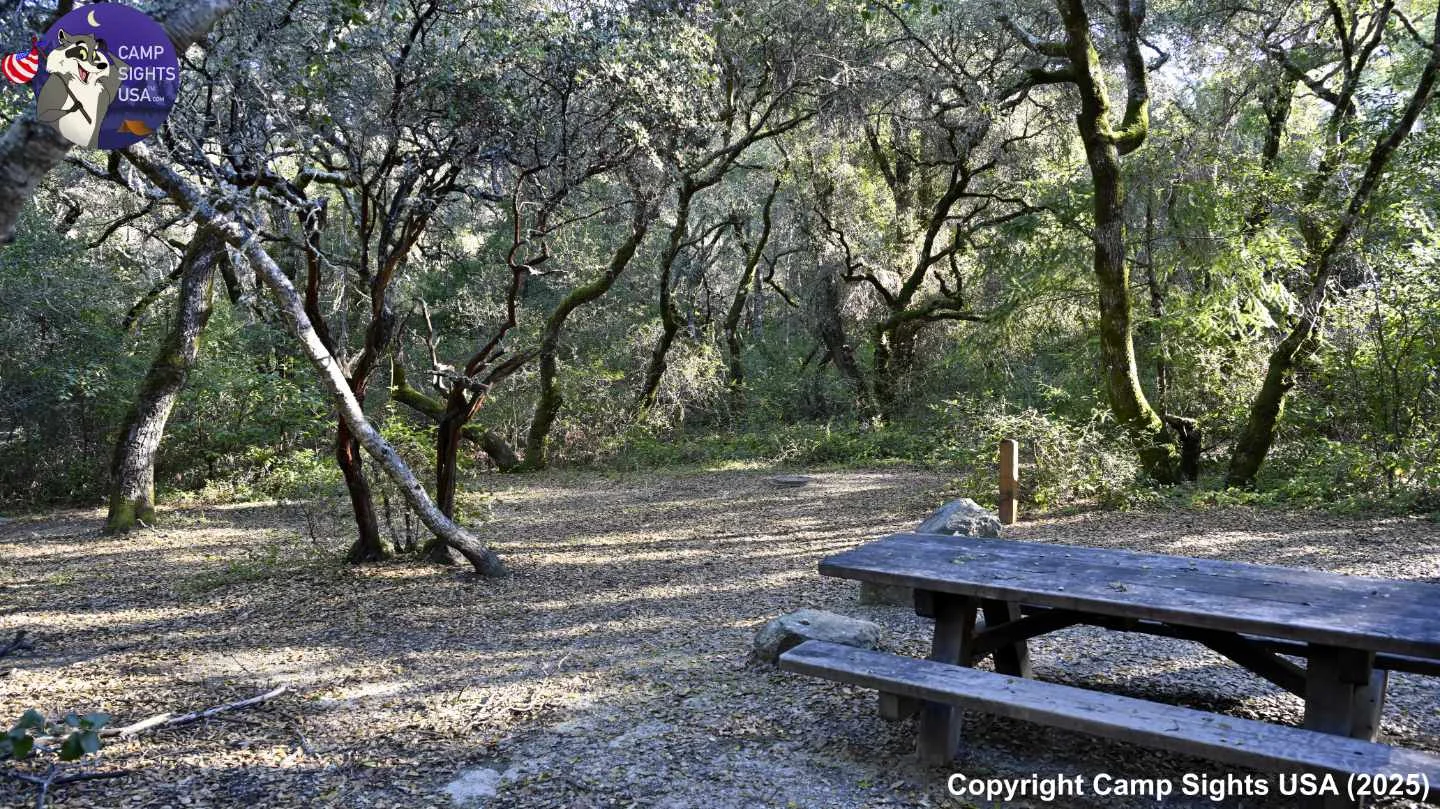 Henry Cowell State Park #32