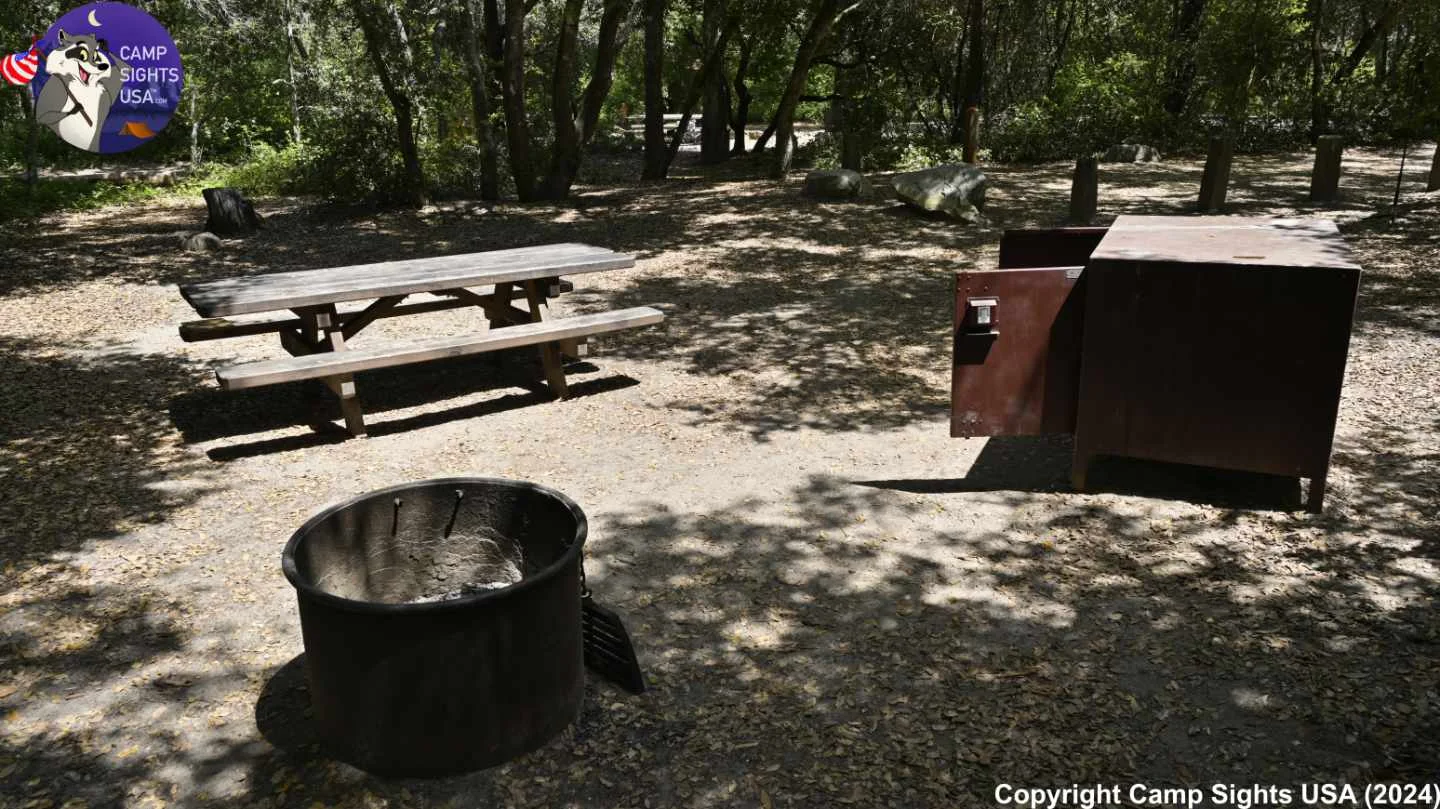 Henry Cowell State Park #33