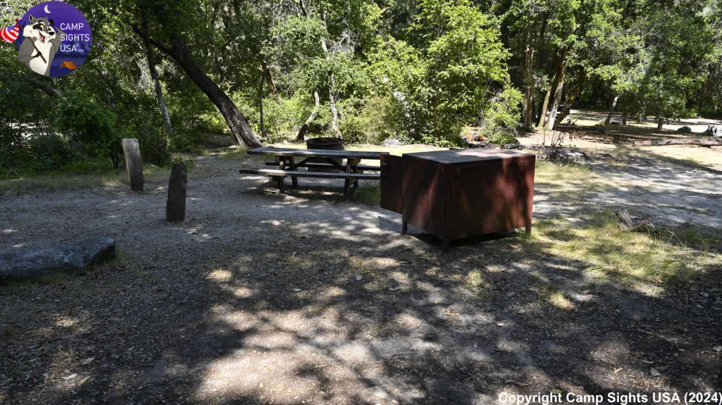 Henry Cowell State Park #34