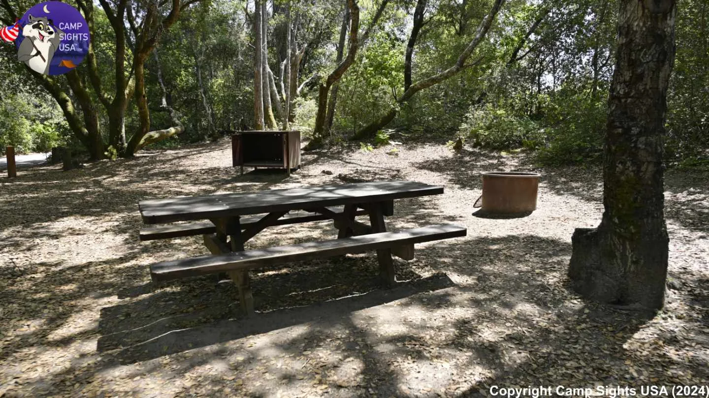 Henry Cowell State Park #35
