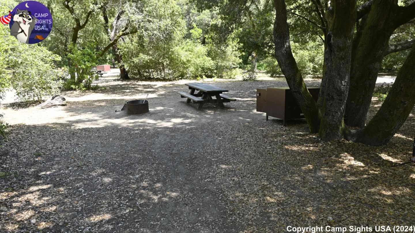 Henry Cowell State Park #37