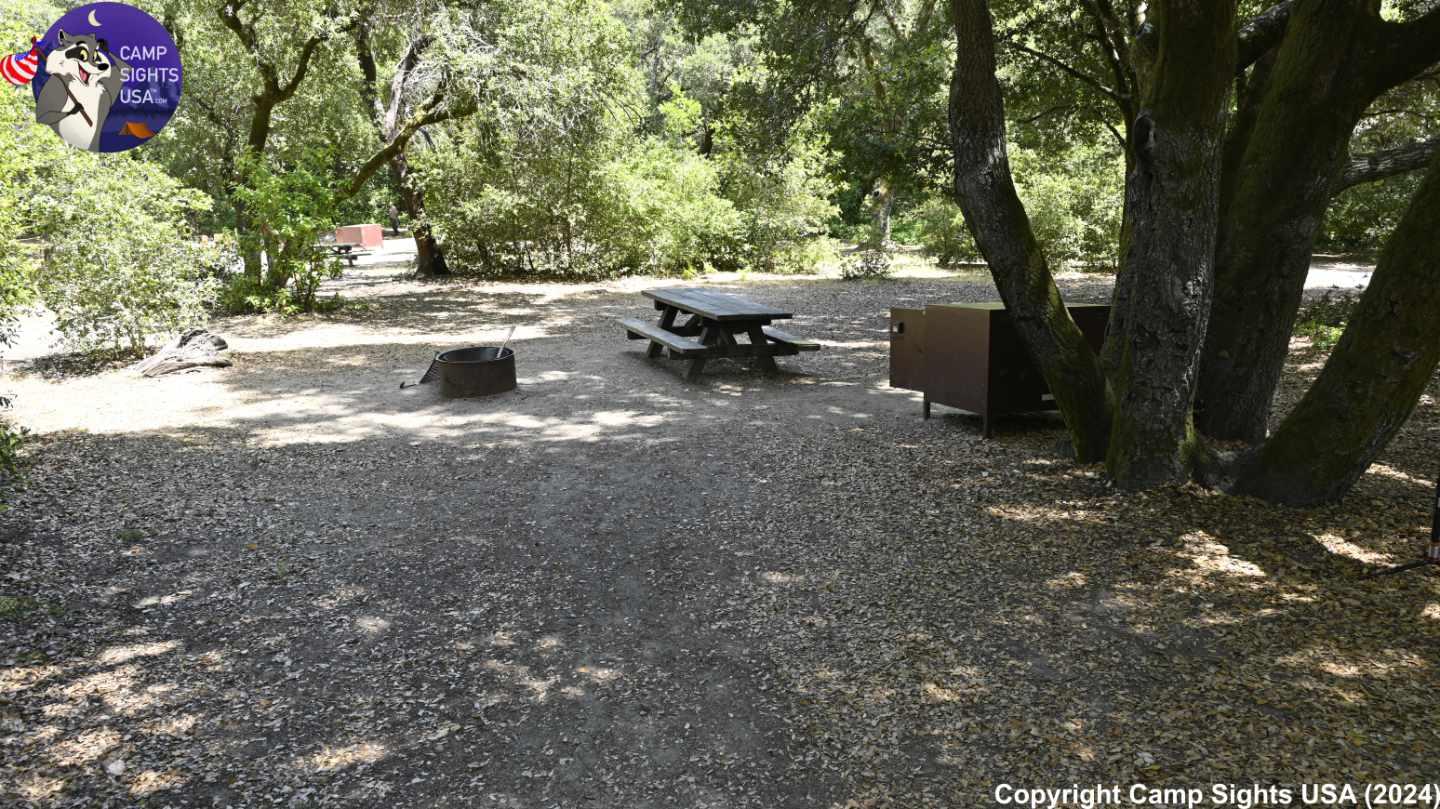 Henry Cowell State Park #37