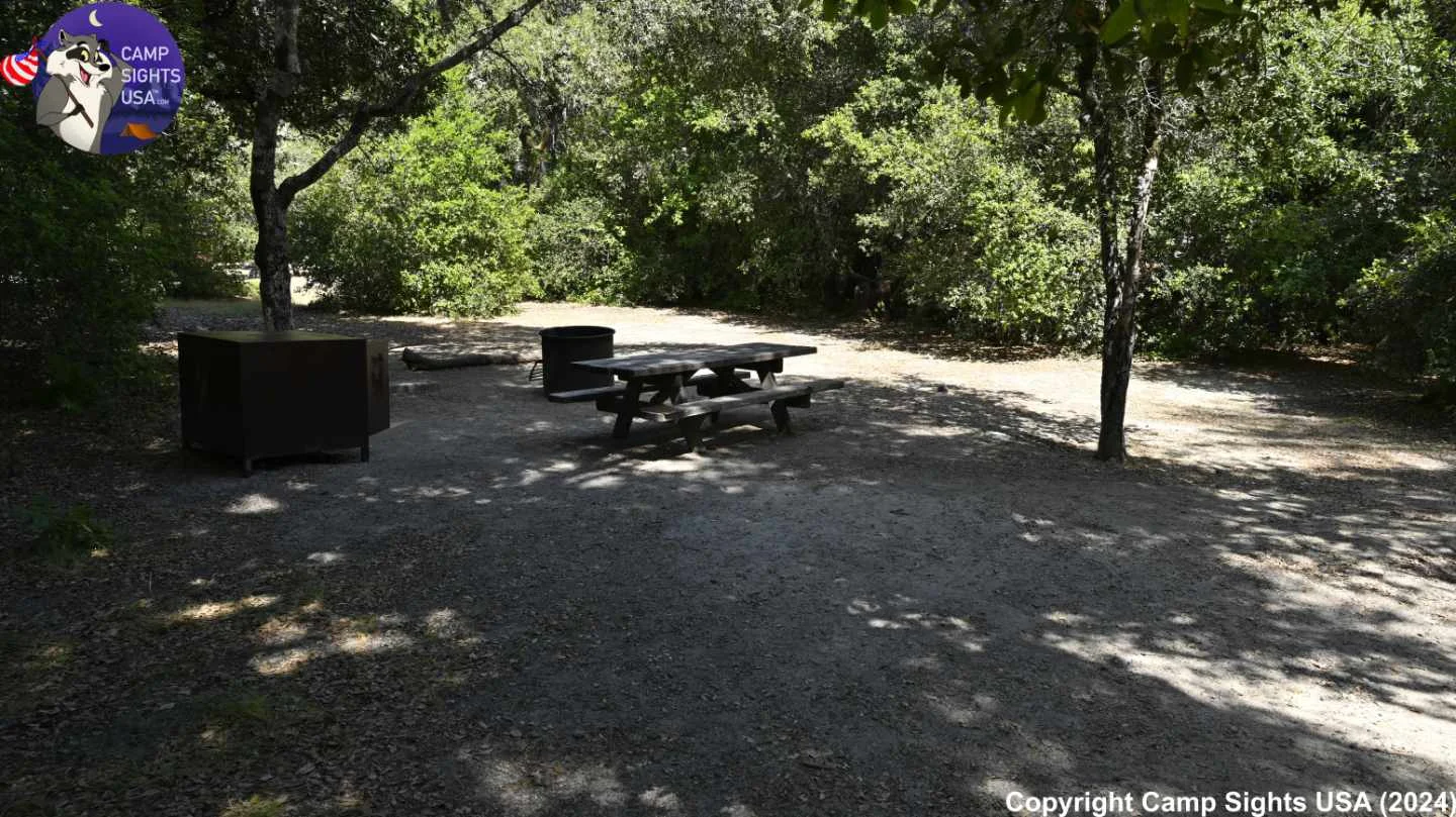 Henry Cowell State Park #39