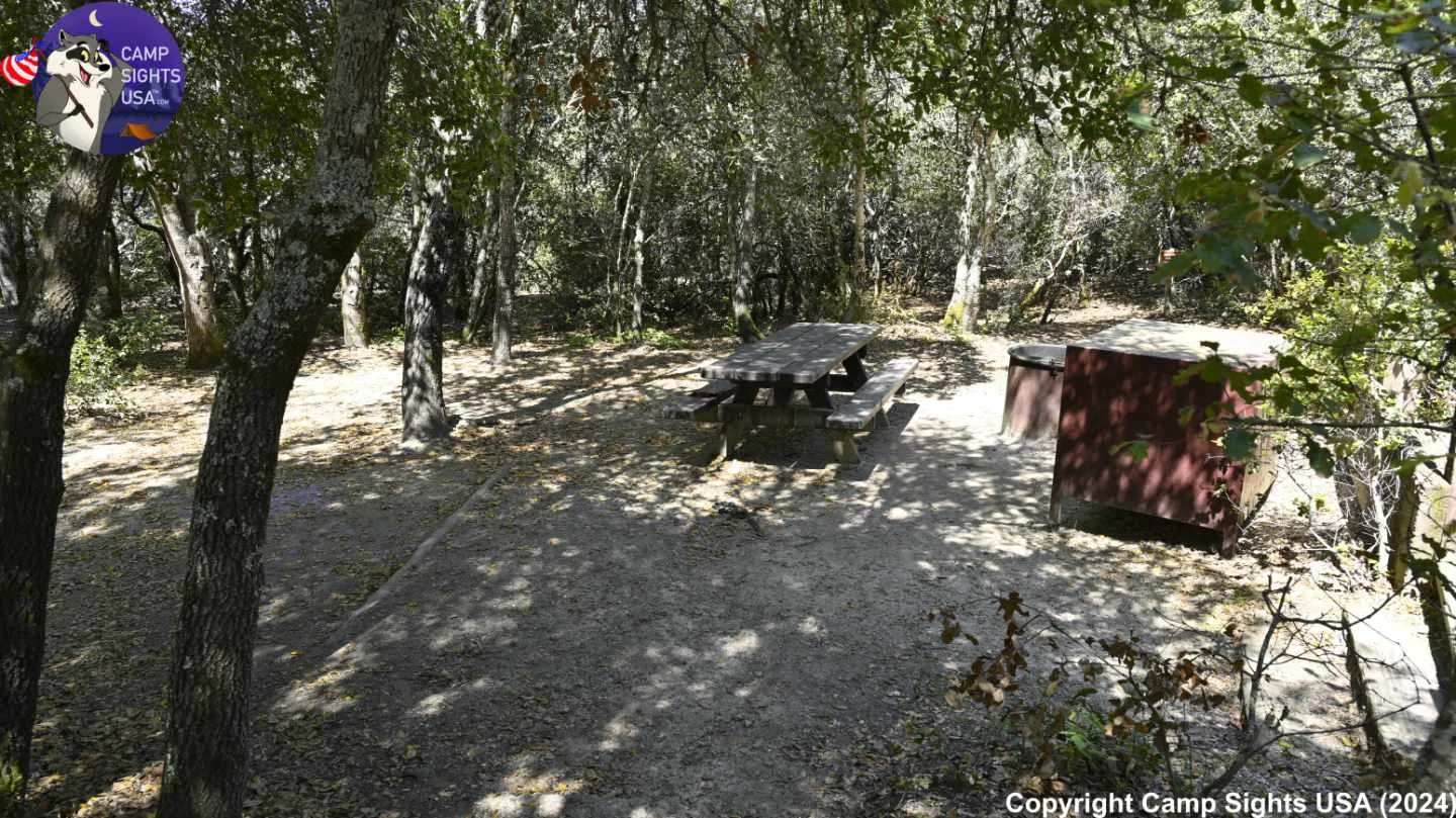 Henry Cowell State Park #40