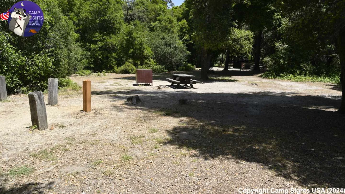 Henry Cowell State Park #41