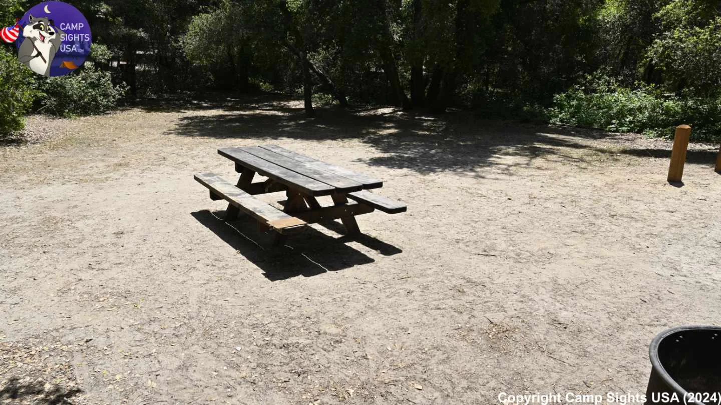Henry Cowell State Park #42