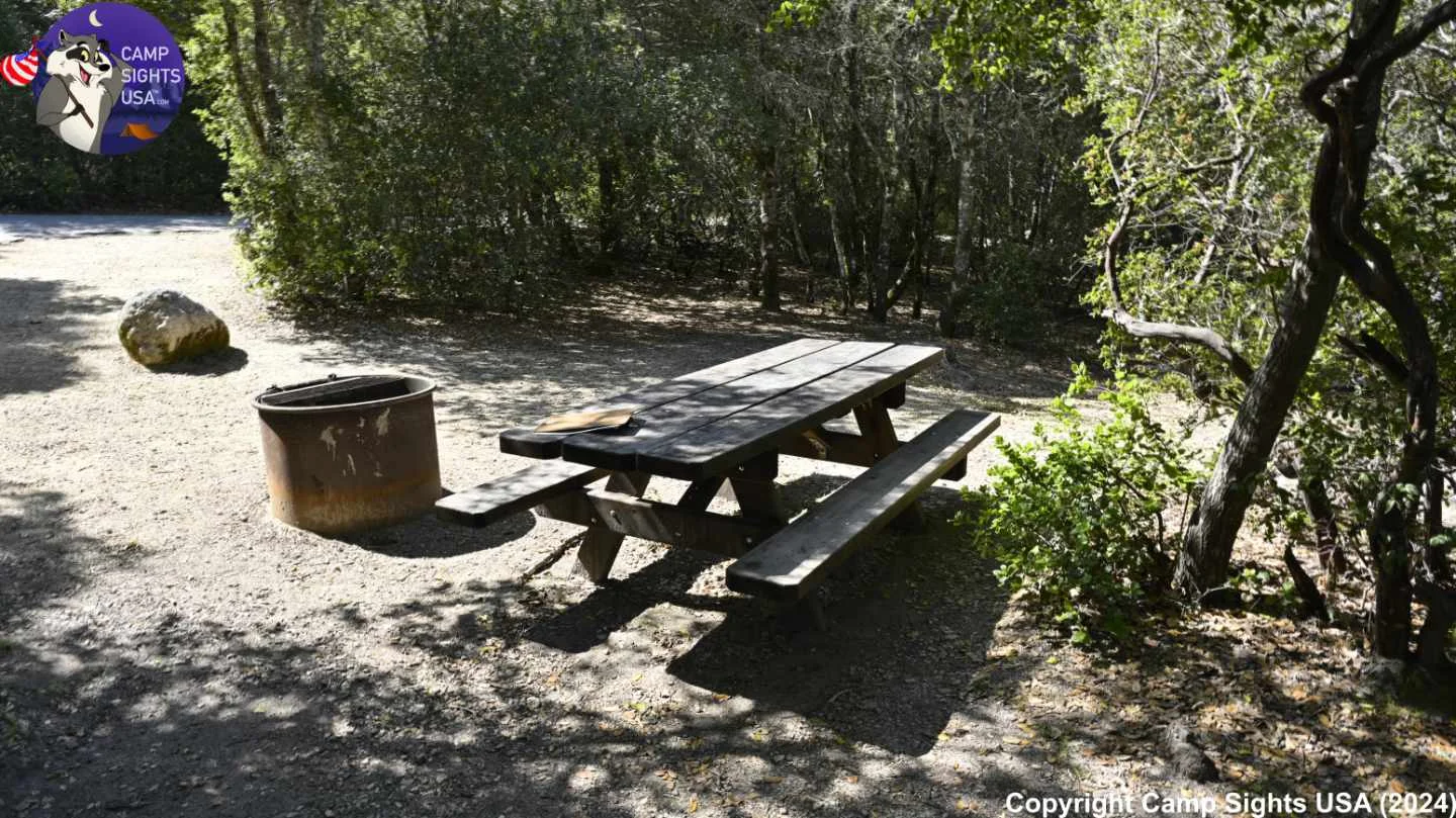 Henry Cowell State Park #43