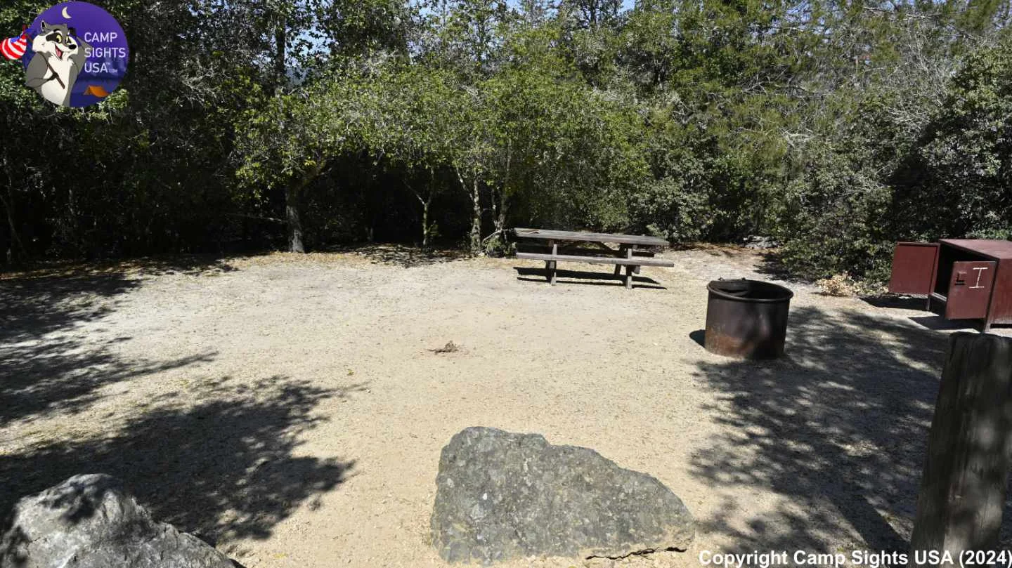 Henry Cowell State Park #44