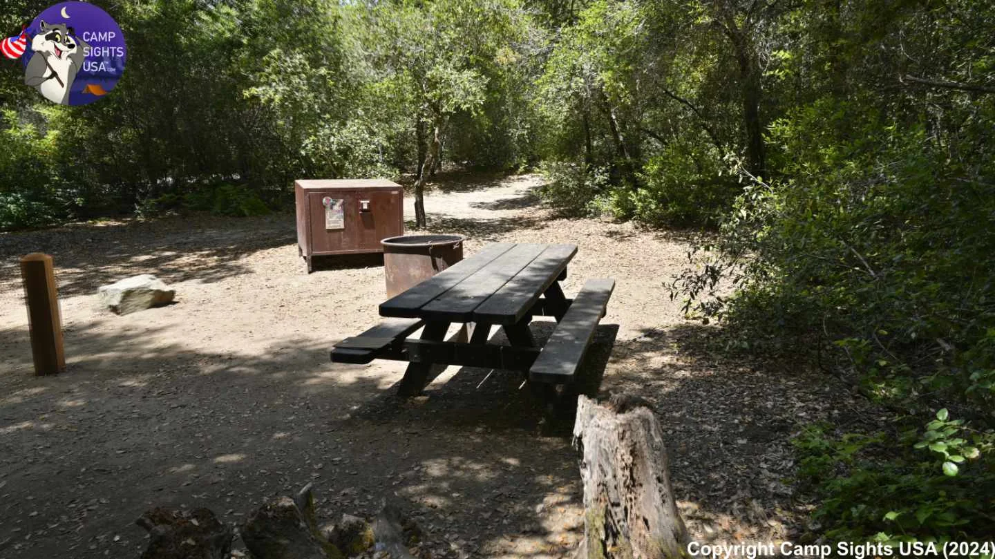 Henry Cowell State Park #45