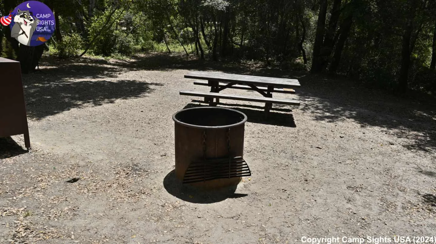 Henry Cowell State Park #46