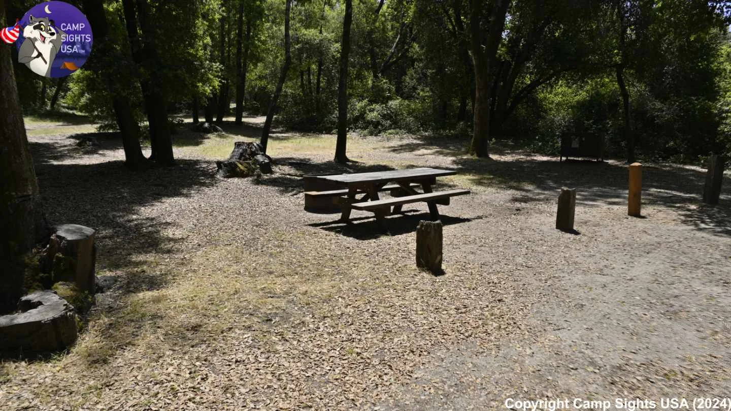 Henry Cowell State Park #47