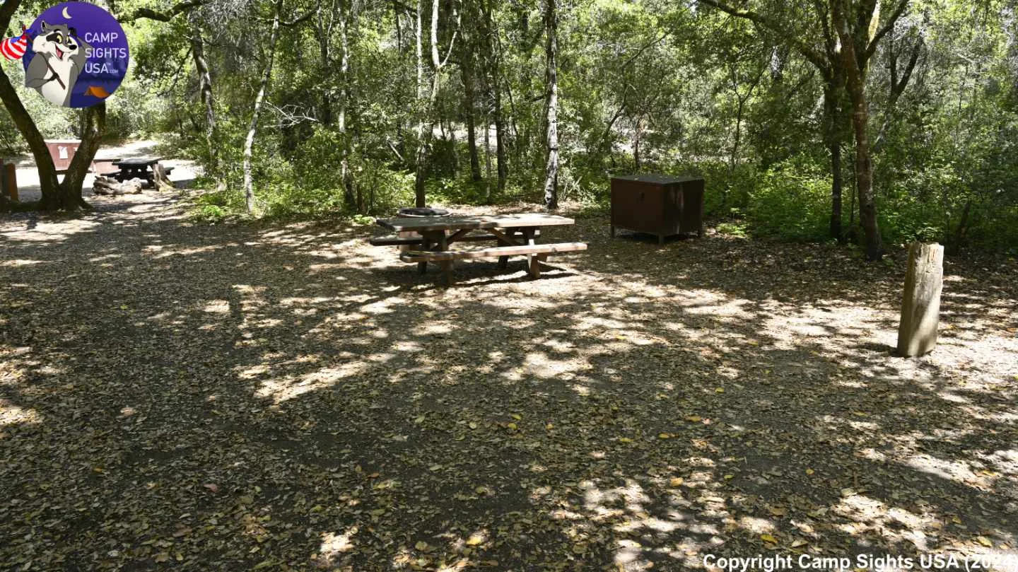 Henry Cowell State Park #48