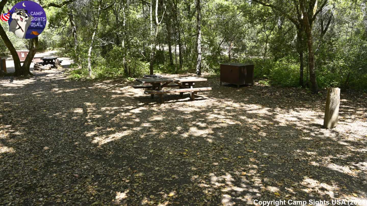 Henry Cowell State Park #48