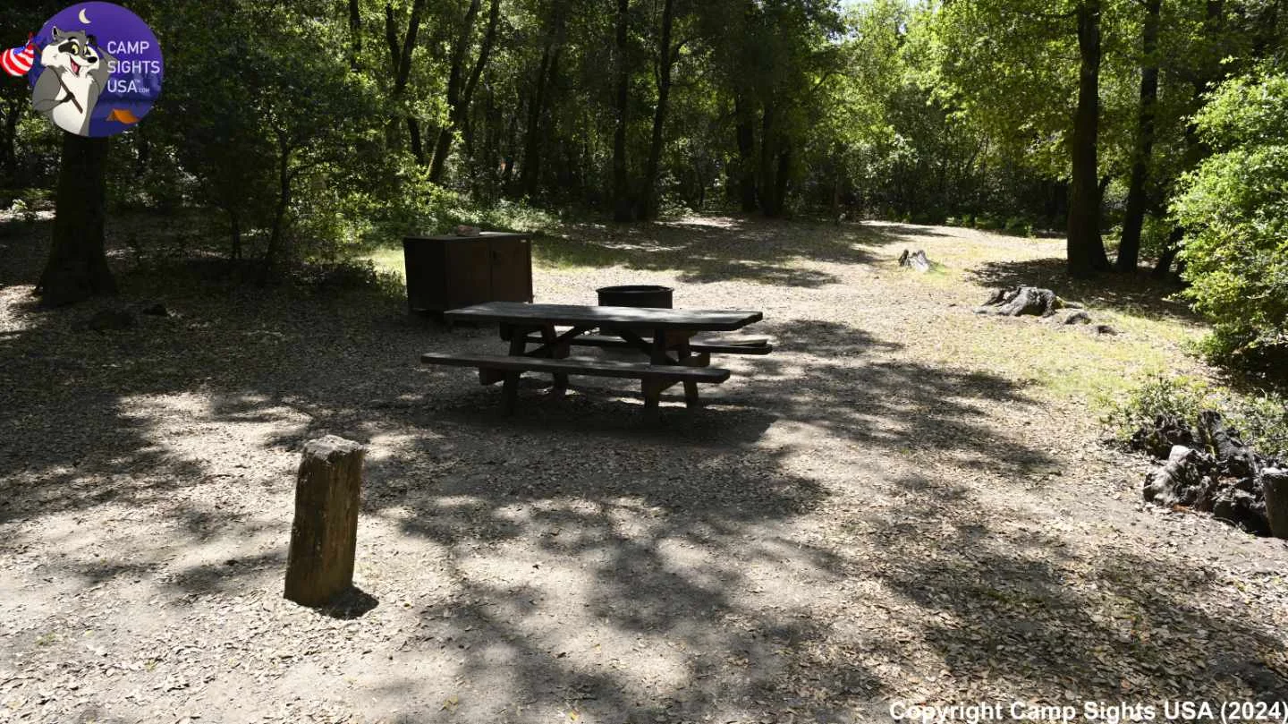 Henry Cowell State Park #49