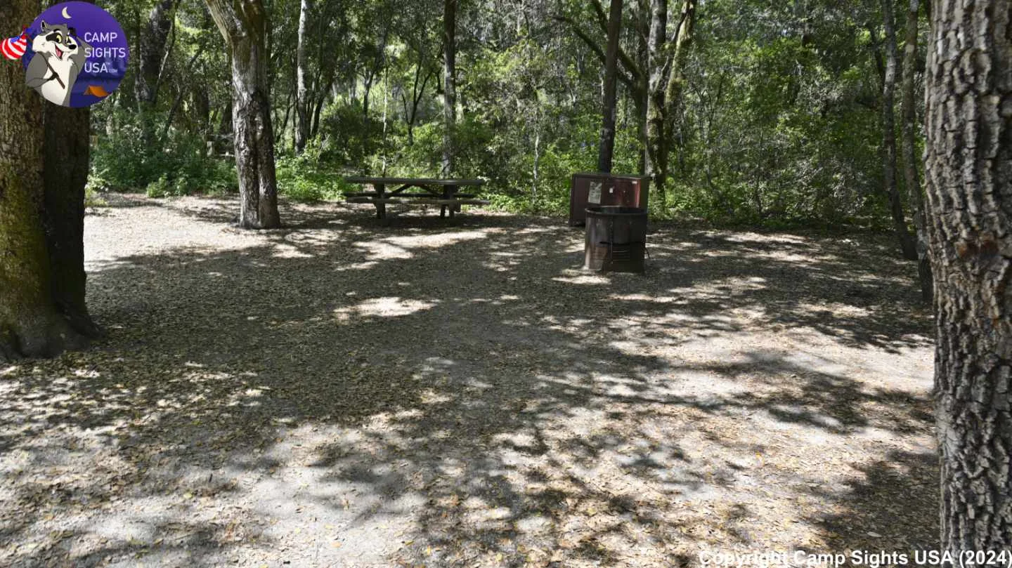 Henry Cowell State Park #50