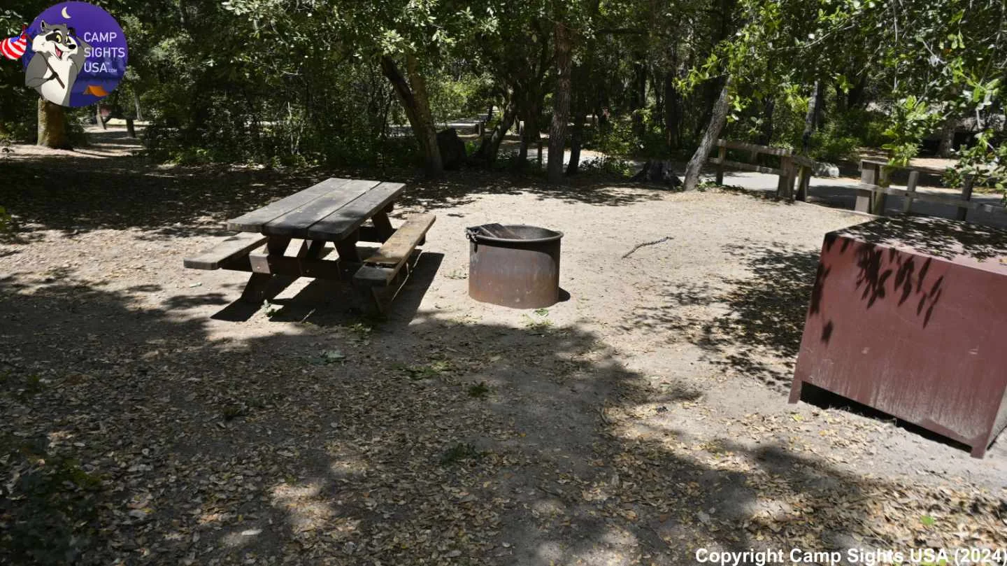 Henry Cowell State Park #51
