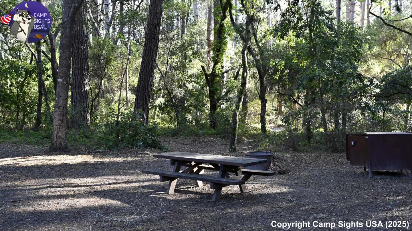 Henry Cowell State Park #52