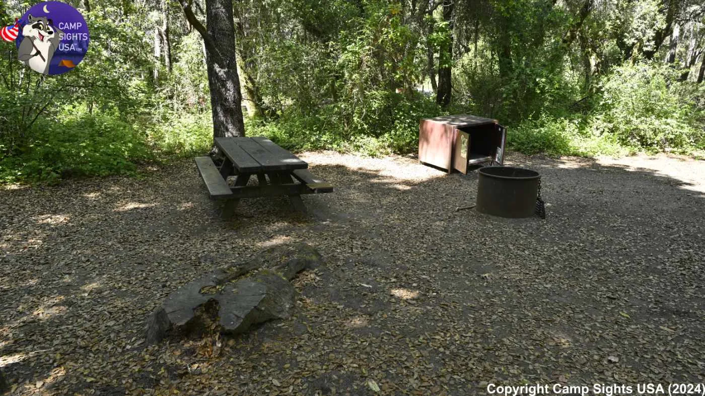Henry Cowell State Park #53