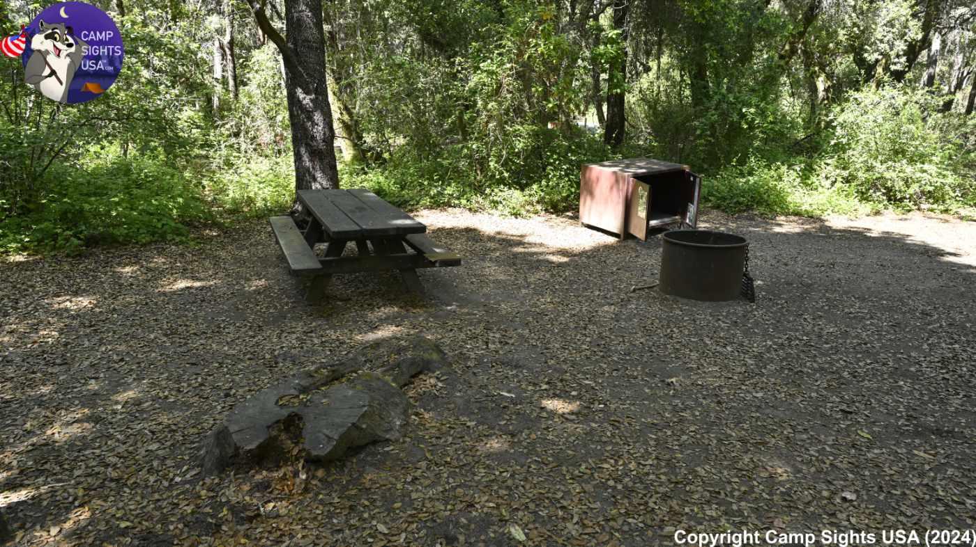 Henry Cowell State Park #53