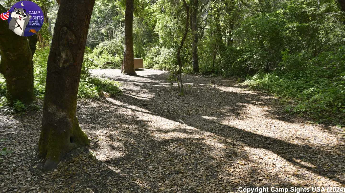 Henry Cowell State Park #54