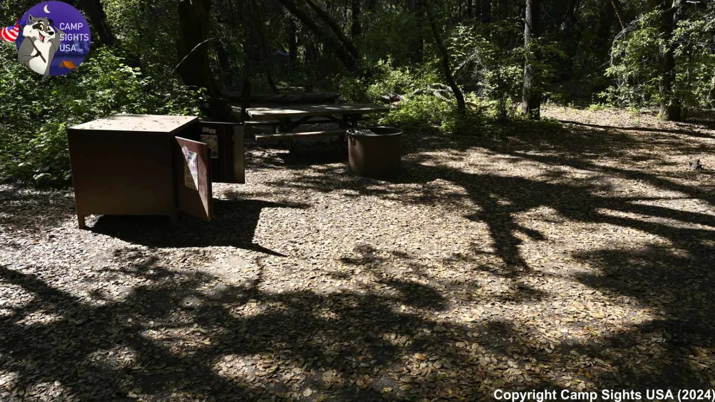 Henry Cowell State Park #55