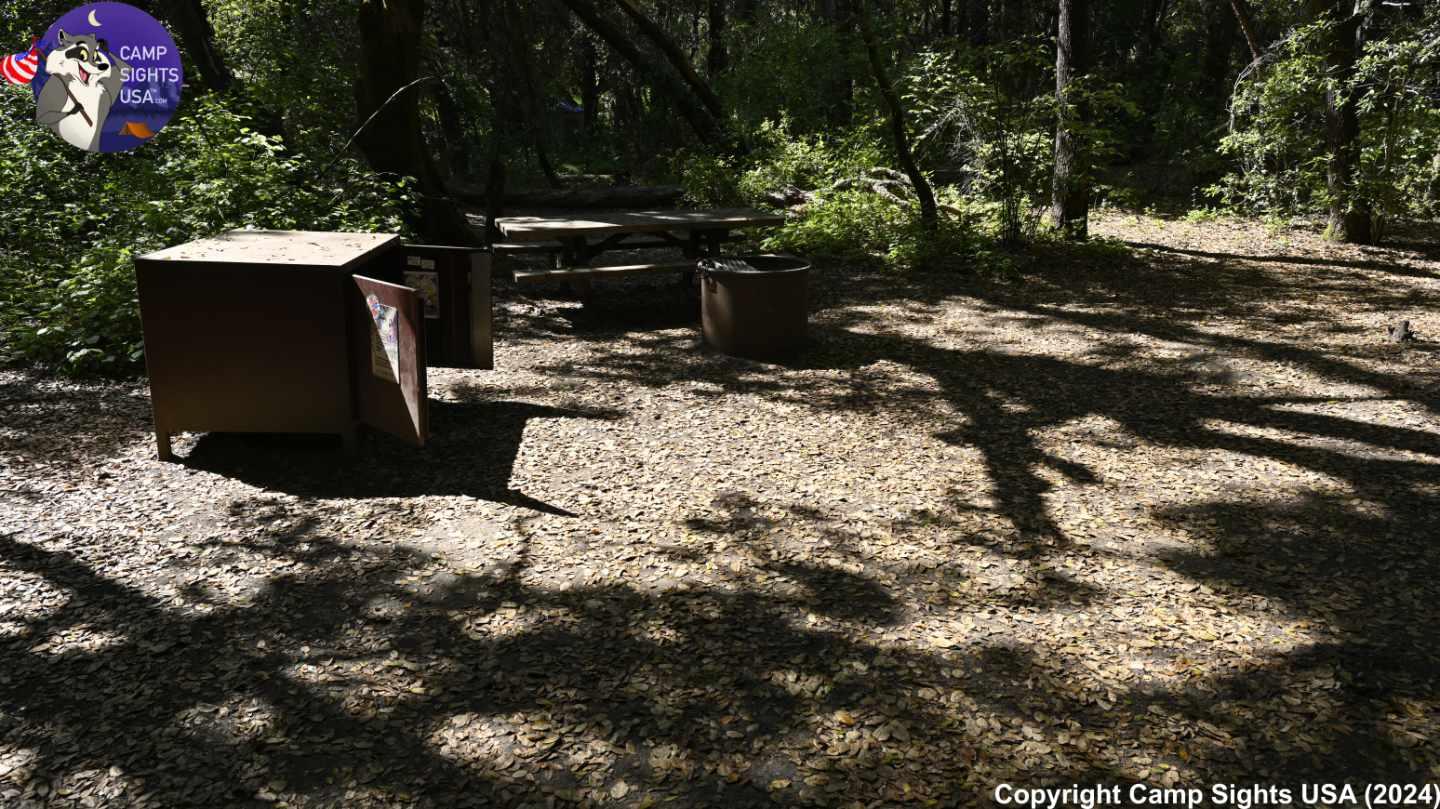 Henry Cowell State Park #55