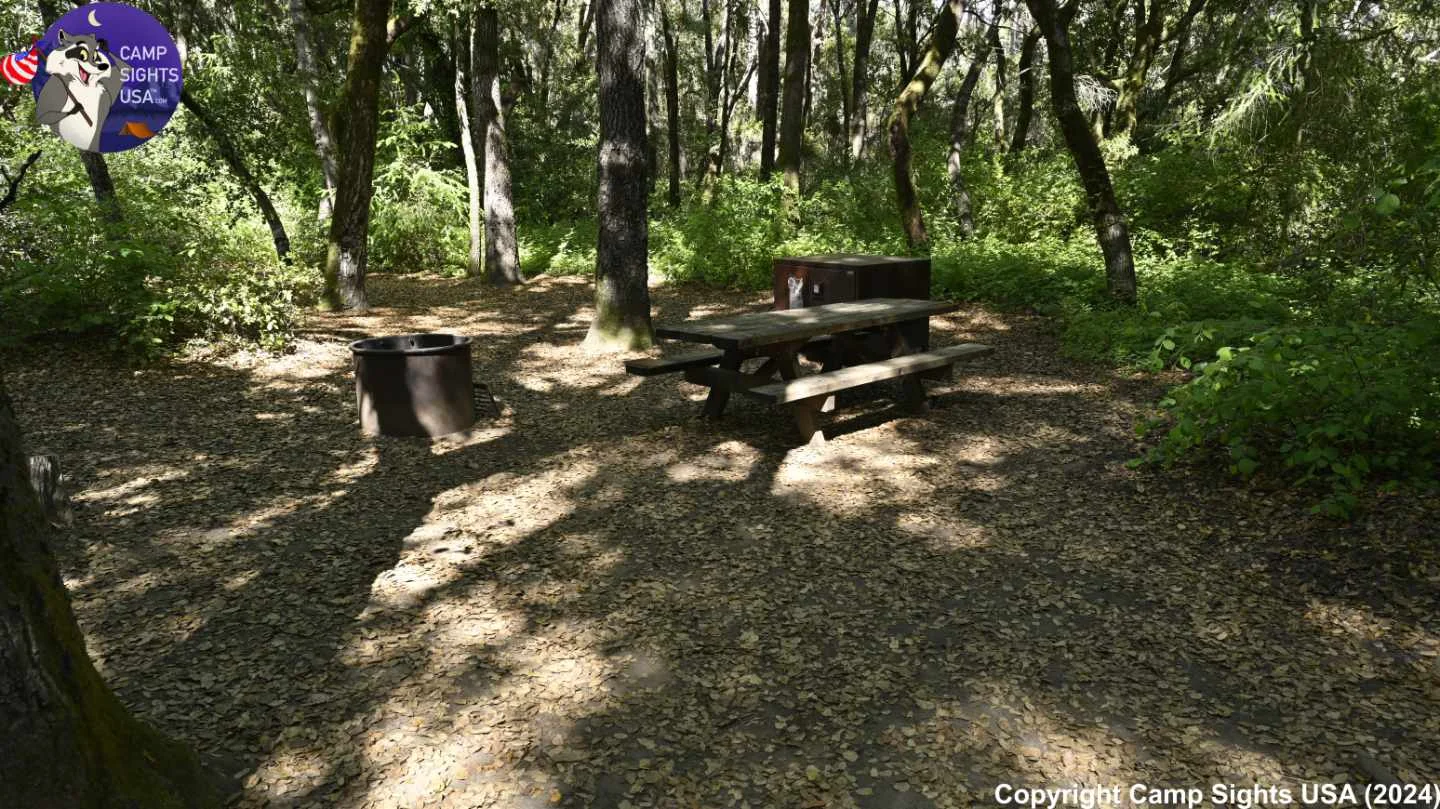 Henry Cowell State Park #56