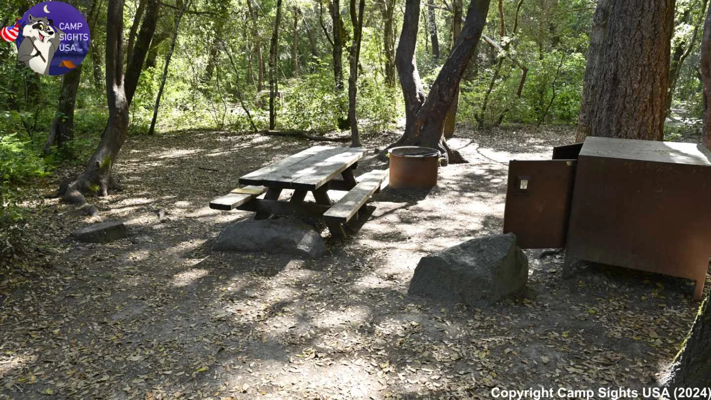 Henry Cowell State Park #57