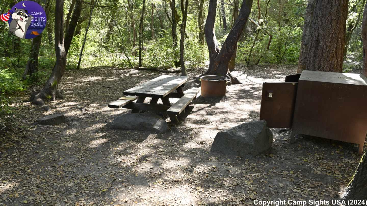 Henry Cowell State Park #57