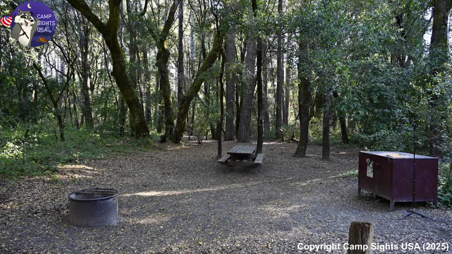 Henry Cowell State Park #58