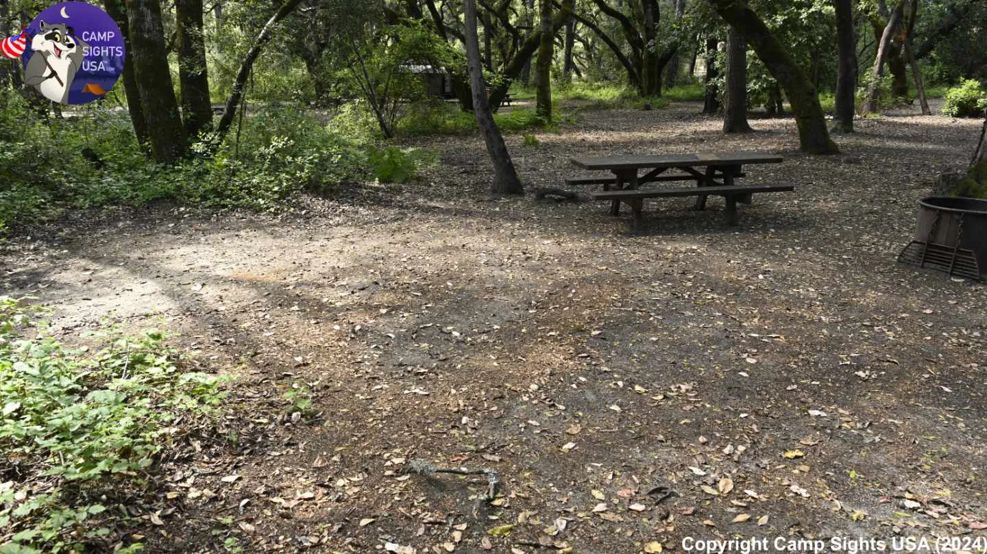Henry Cowell State Park #59