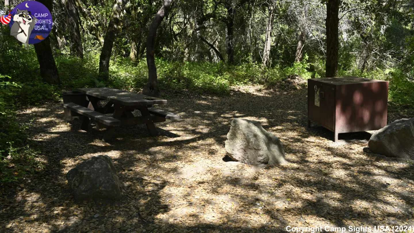 Henry Cowell State Park #60