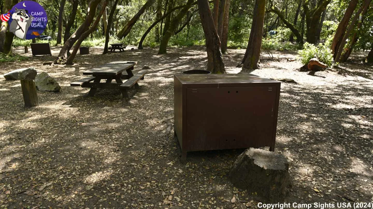 Henry Cowell State Park #61
