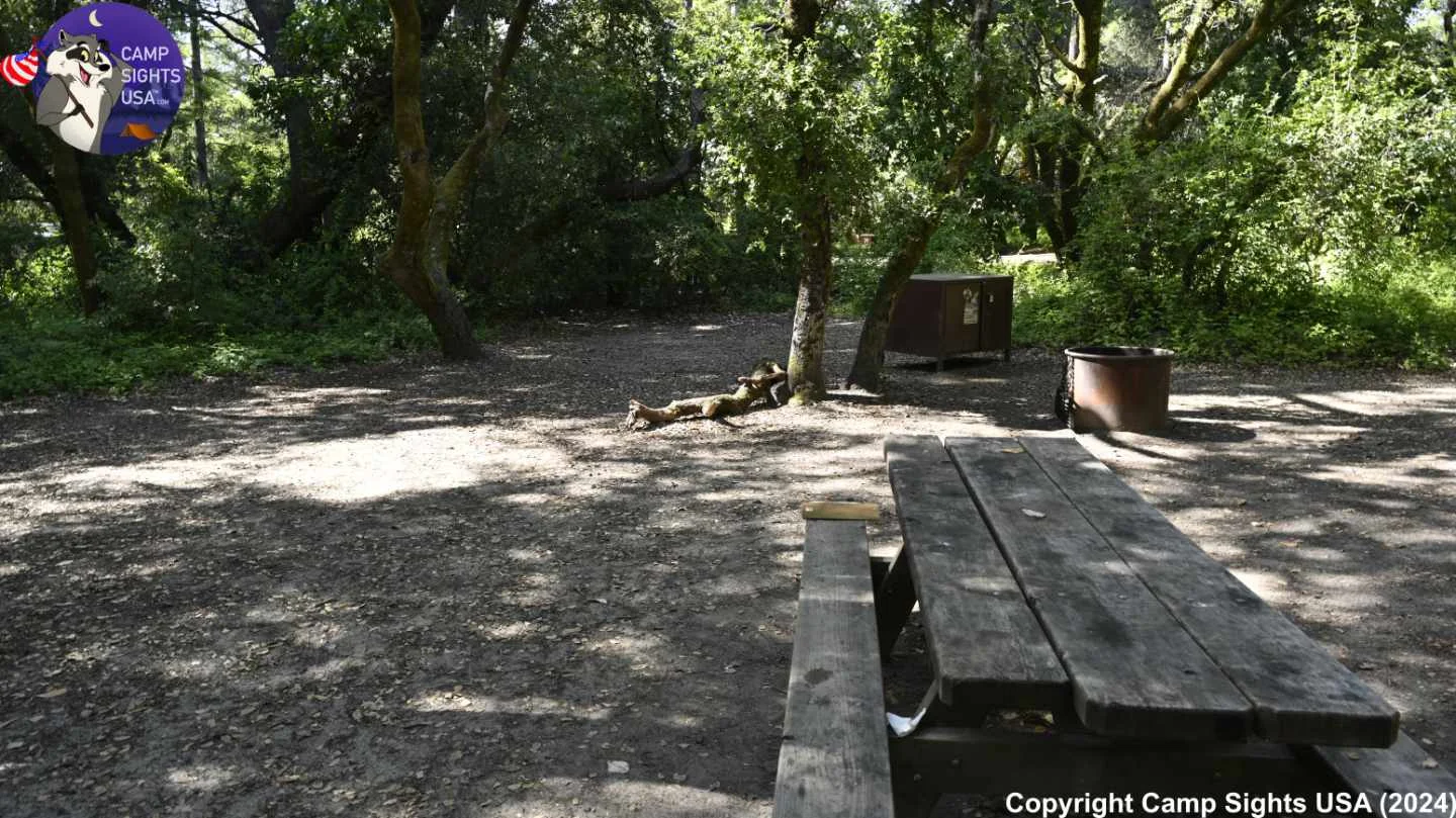 Henry Cowell State Park #63