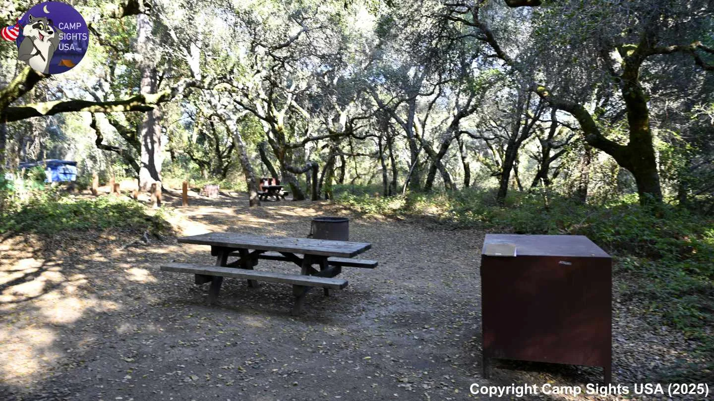 Henry Cowell State Park #64