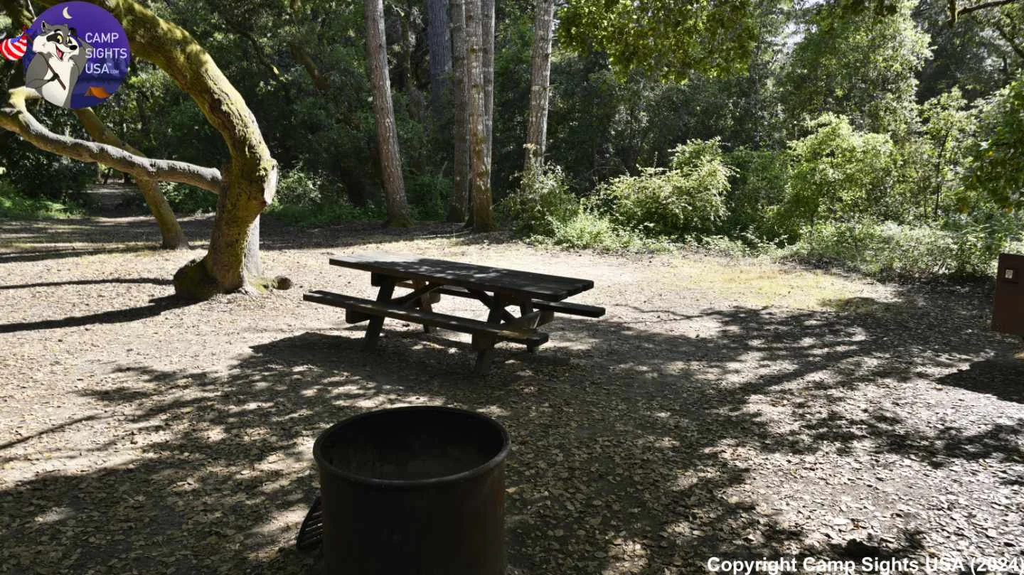 Henry Cowell State Park #65