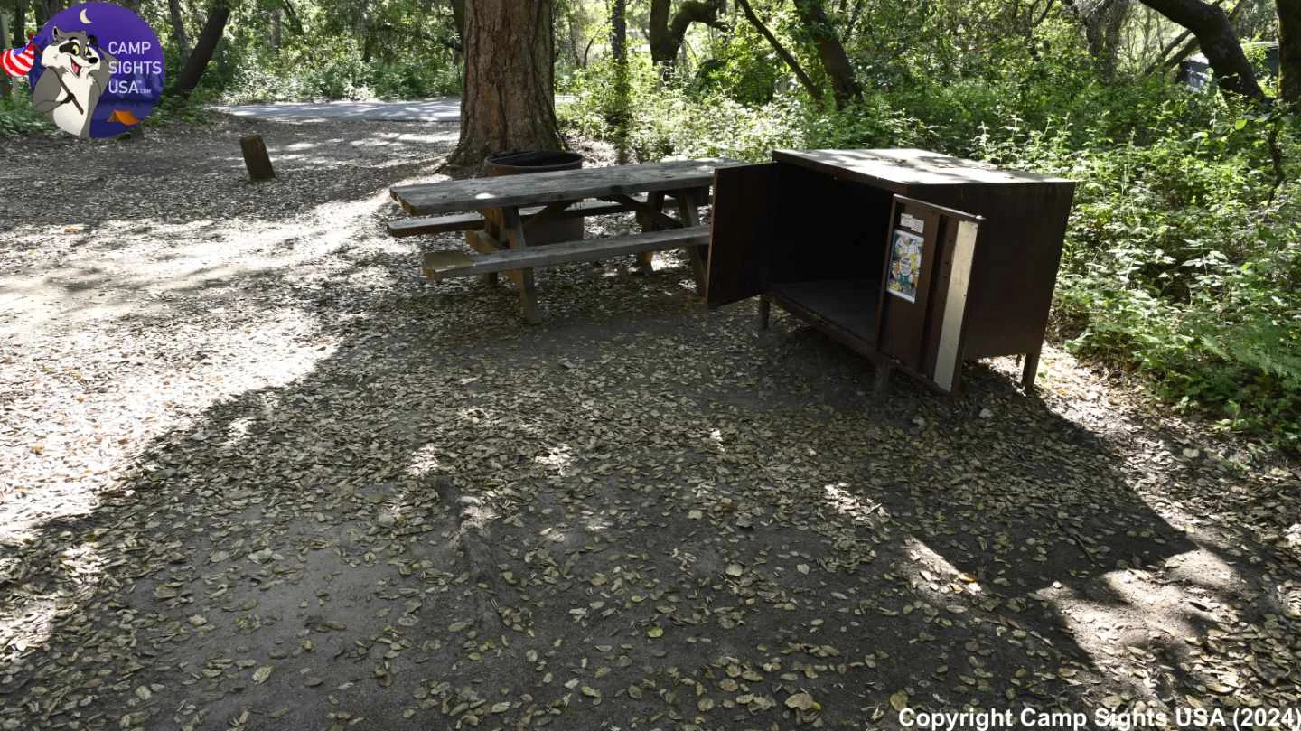 Henry Cowell State Park #66