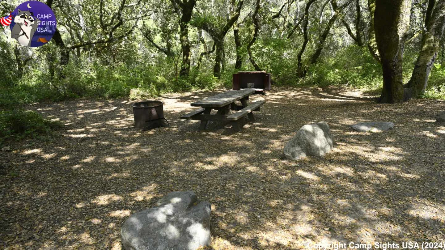 Henry Cowell State Park #67